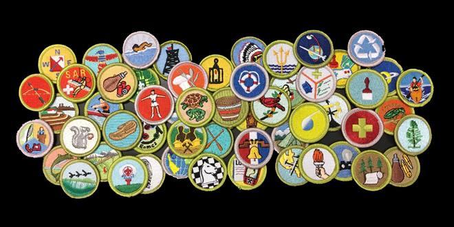 Class Size To thoroughly and effectively teach certain merit badges, it is necessary to limit the size of some classes.
