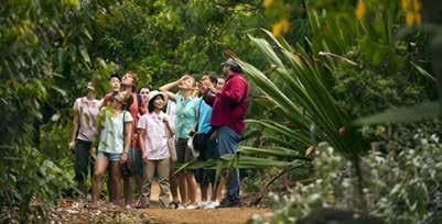 5. Aboriginal Heritage Walk Participants are transferred to the Royal Botanic Gardens, where they will experience the world s oldest living culture on an exclusive guided walking tour of the Gardens