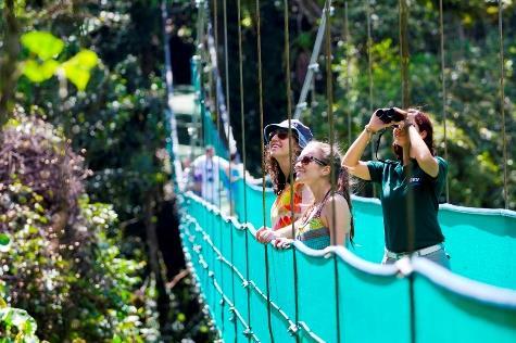 2 km in total allows the guest comfortably enjoy the magical Rain forest with a total of 16 Bridges.