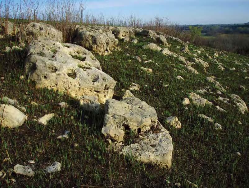 The rugged limestone outcroppings of the Flint