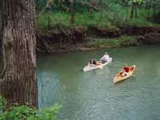 Two ponds are located on the property, and the calm, flowing waters of Wildcat Creek run through it. Game fish can be taken from both.