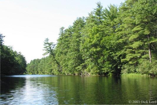 With this funding, the National Park Service and its partners from each designated river will ensure that the national