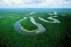 AMAZON BASIN (CONT.