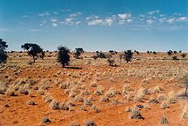 KALAHARI DESERT Located in Botswana, South Africa and Namibia Different
