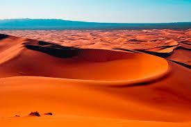GOBI DESERT Located in the north of China and southern Mongolia