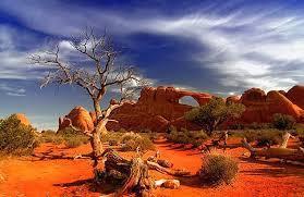 About 135,000 square miles in size Largest desert in Australia taking up much of