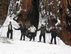 Our guides will share with you knowledge about the Park and the sequoias and will help make sure your snowshoe experience is fun and inspiring! Offered most days, 9am-1:30pm, $75 adults, $50 kids.
