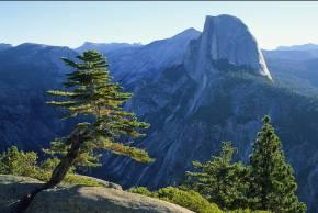 naturalist tour. This two-in-one full day tour offers an unparalleled Yosemite experience, and includes a modest 2½ mile round trip walk through old growth forest to the majestic Sequoia grove.