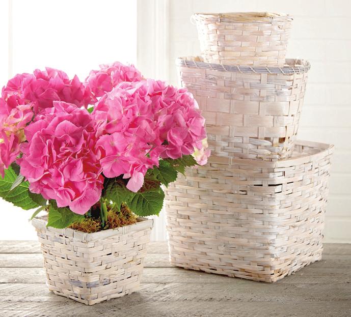 FREE SHIPPING* BASKETS & CLEAR GLASS A.