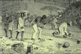 1750-1784 French Rule as Tension Builds Within the Colony Beginning around the late 1750 s, freed mulattos and blacks began using their own plantations to better their lives, but the French were not