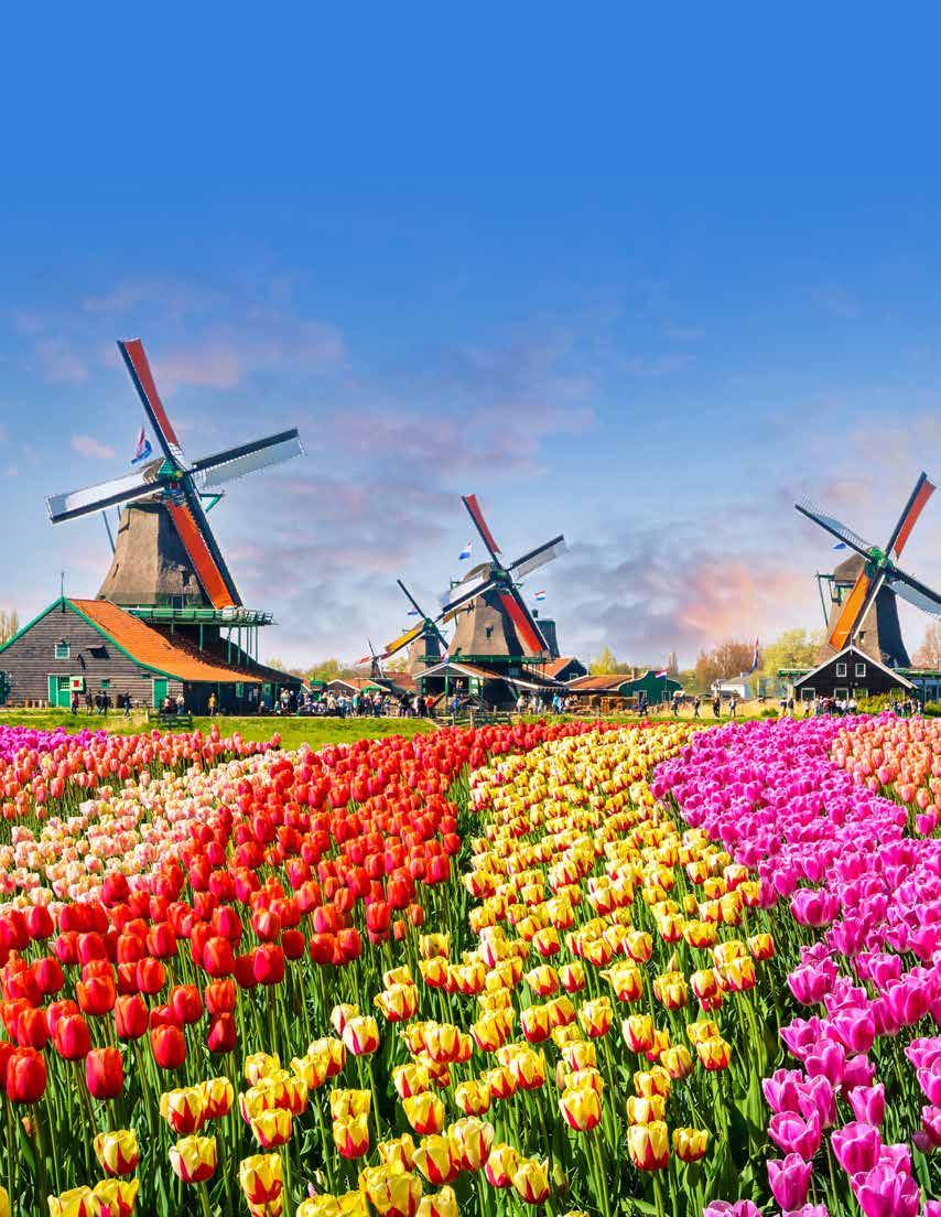 Holland in Bloom