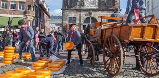 Tour Highlights Traditional Markets, Rich History & Beautiful Gardens NBTC Courtesy of VVV Gouda Gouda Cheese Market In South Holland s city of Gouda, explore a traditional open-air cheese market and