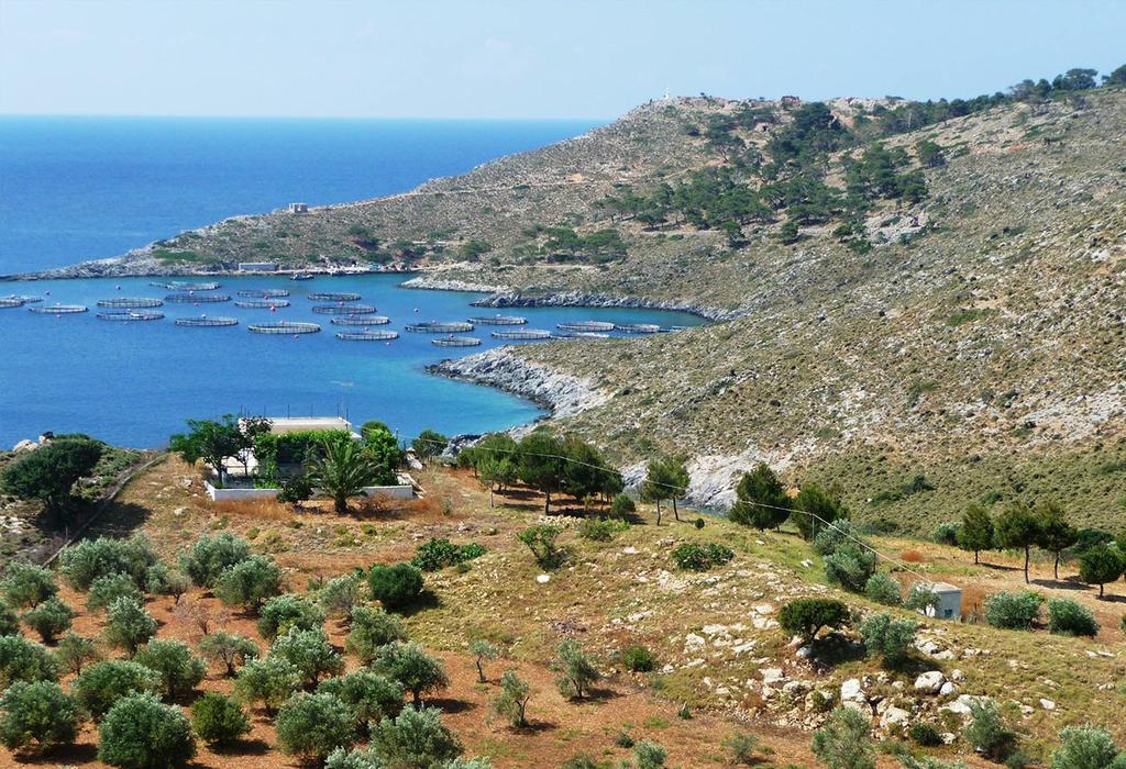 with their close proximity to Greece s mainland, feel a world away from