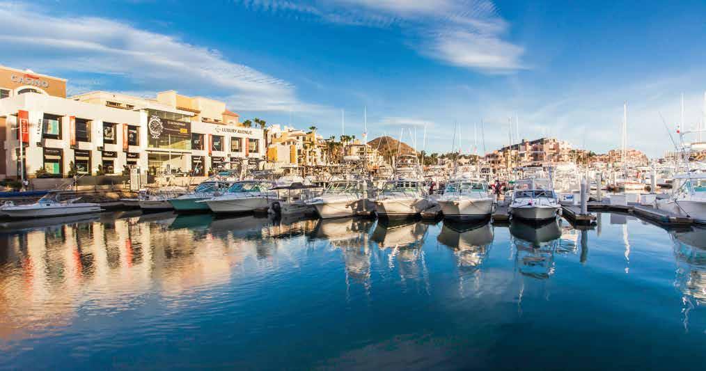 There are no limits at the Luxury Avenue shopping plaza, located at Marina Cabo San Lucas, making it easy to visit the boutiques by land or sea.