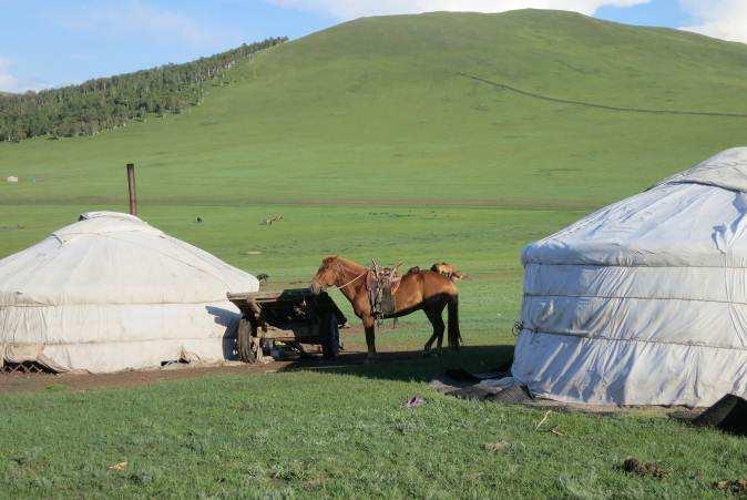 The ride takes you through steep mountains and you will appreciate the sure footed horses and the ability of your yak drivers! Camp is set up close to the yak breeder's ger.