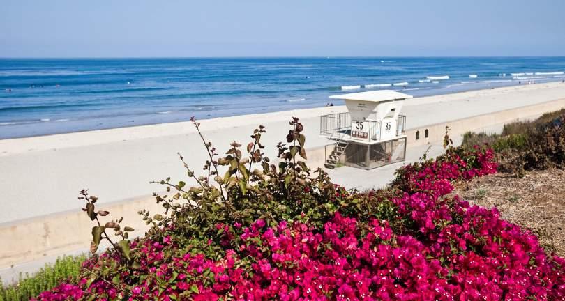 Local Attractions Carlsbad is an upscale coastal community located approximately 35 miles north of downtown San Diego and conveniently located between two international airports San Diego