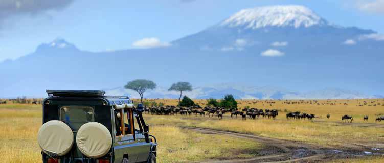 14 DAY HIGHLIGHTS TOUR INCREDIBLE KENYA TOUR INCLUSIONS HIGHLIGHTS Discover the highlights of magical Kenya Explore the famed Masai Mara National Reserve on up to 3 safari drives Search for lions,