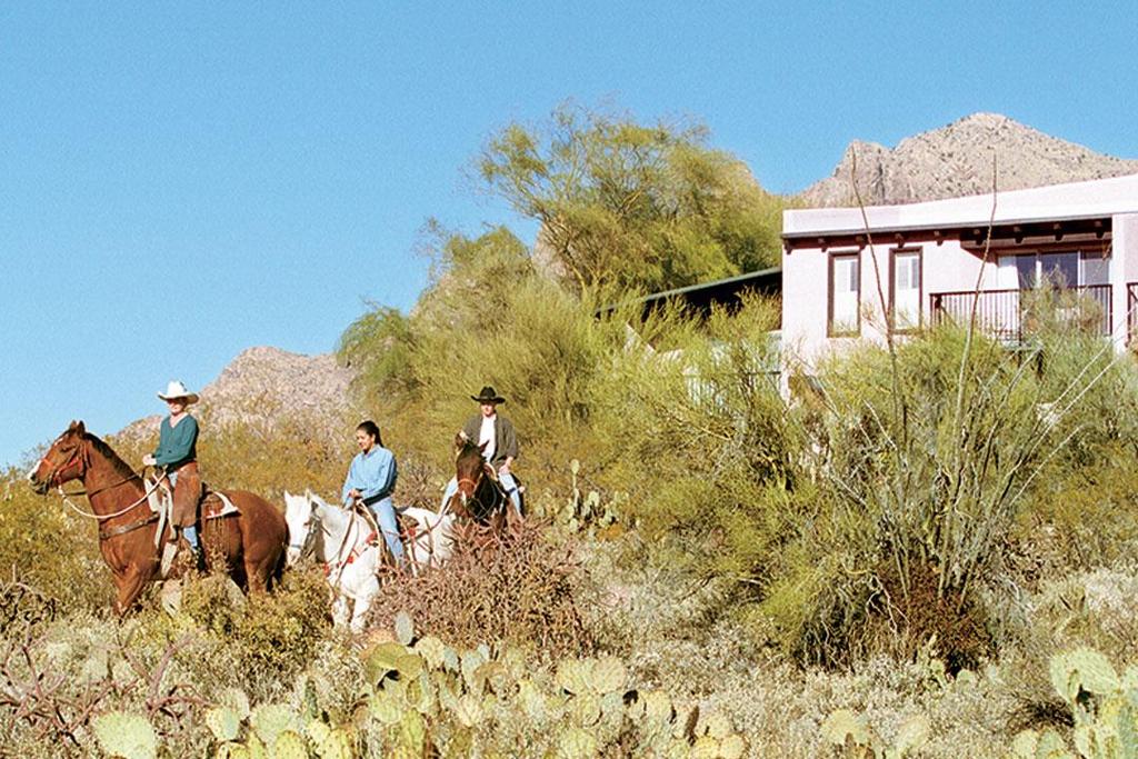 Horseback Riding Nothing is as authentically Western as a horseback ride through desert terrain.