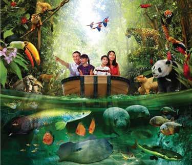 It provides shelter to more than 6000 animals from different species including monkeys, manatees, piranhas, elephants, pandas, fish & more.