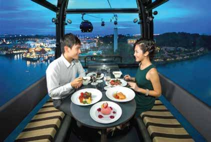 Luxury Tours in Singapore Dinner at Singapore Flyer Dinner at the Singapore Flyer is a luxurious way to enjoy a delightful selection of local and international delicious cuisines.