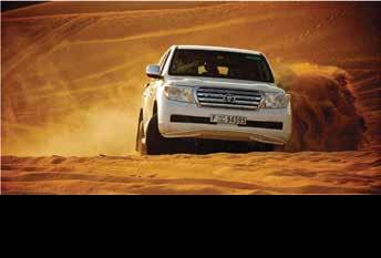 The morning desert safari gives you memorable experience, great pleasure and never let down your expectations.