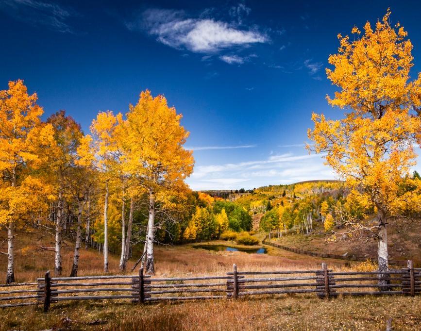 Tuesday, September & GOLDEN 25, 2018 - ASPENS 12:00pm EVENT to Saturday, Thru S29-12:00m Telluride, CO SPECIAL NATIONAL SILVER