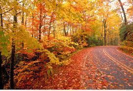 FORT COLLINS DRIVE JOIN US FOR A LOVELY FALL DRIVE Saturday, September 15, 2018 1. Meet at 9:30am at Starbucks, 45 East 120th Ave. Thornton, at the northeast corner of I-25 and 120th Avenue.