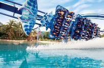 Walt Disney World Resort - Magic Kingdom