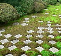 Why don t you enjoy Kyoto by exploring its gardens?
