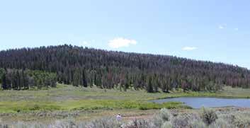 Located in the heart of western history, culture and wilderness, this is a spectacular alpine ranch with National Forest