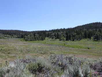 Acreage: Tucked away in its own private valley, this 160 acre alpine ranch is located at the base of the famous Ramshorn Peak and offers a scenic and private setting.