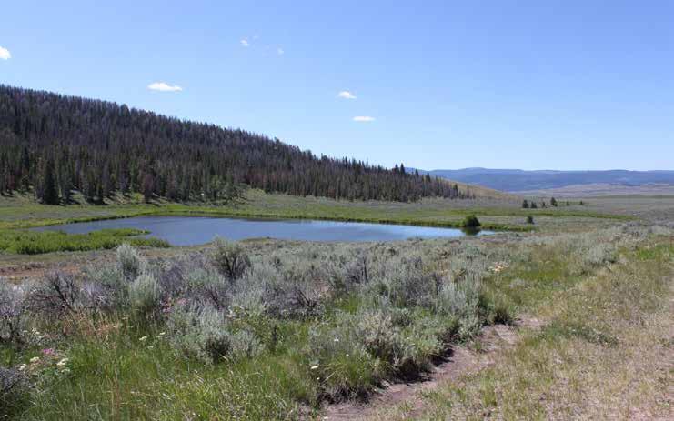 Nearby Live Water: Bisecting the valley below the ranch, the Wind River offers some of the best and most varied fishing in the country.