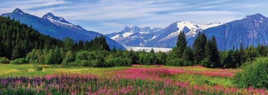 DEAR ALUMNI AND FRIENDS, Explore the astounding glaciers, native traditions, and awe-inspiring scenery on this cruise up and down the Alaskan and Canadian Pacific coast.