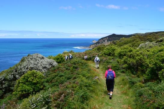 Walking through spectacular national parks full of tall forests, coastal heathlands, wild rocky shores, river estuaries and windswept cliff-tops presenting amazing coastal views - nature truly