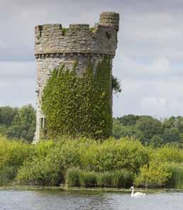 August 38 Cruise the Lough Erne at Crom for views of Crichton Tower on Gad Island White Park Bay 23 August Go Wild with the Rangers Join our rangers for a morning of fun and adventure on White Park