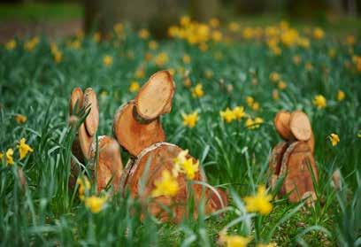 Hop along for some Easter fun Over Easter half-term there are loads of activities at our places for kids and grown-ups to get messy, muddy and back in touch with nature.