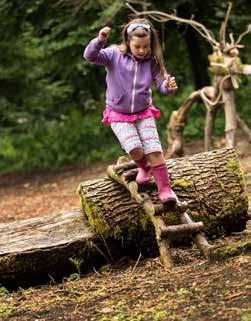 Have a go at adding to the nest of willow, try the rope swing, or make some music on the wooden xylophone.
