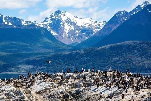 Day 12: Tierra del Fuego National Park Wander amongst Tierra del Fuego s lakes, peat bogs and rivers and admire the incredible views over the snow-capped mountains on the horizon.