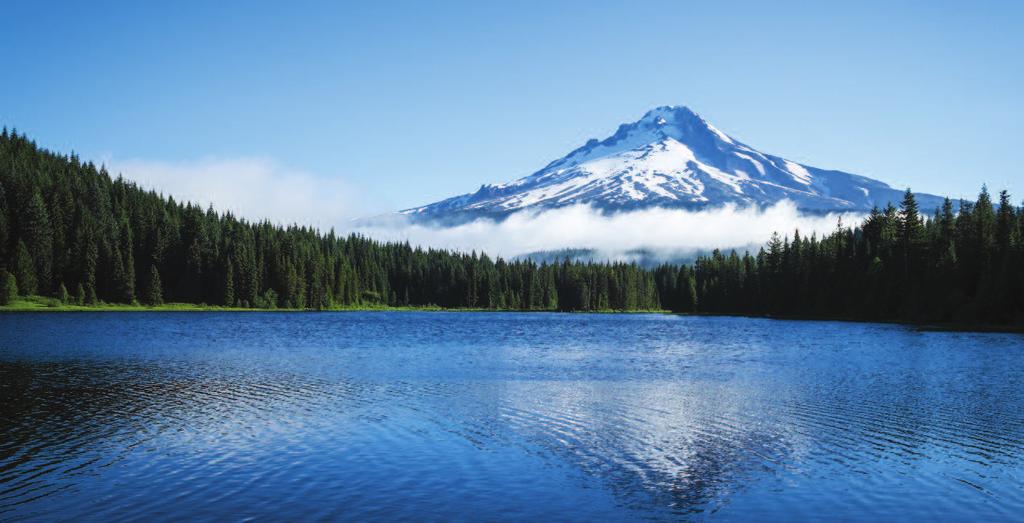 Experience THE MAGNIFICENT PACIFIC NORTHWEST FROM A WHOLE NEW PERSPECTIVE!
