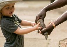 Sightseeing & Cultural TOUR OF THE CROCODILE SANCTUARY US$ 25.