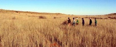 CHARL PAGE THOMAS MACKENZIE 2015 DEVELOPMENTS In February 2015, the Bushman Council and SAN Parks reached an agreement about the implementation of the provisions of the 2002 land claims settlement.