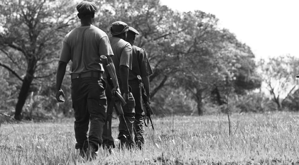 SUPPORT PROGRAMMES Combatting Wildlife Crime RHINO PROTECTION PROGRAMME HENNIE HOMANN BACKGROUND On 4 February 2014, the Dutch Postcode Lottery awarded its Dream Fund to Peace Parks Foundation and