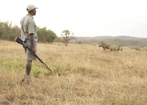 RHINO-HORN ASSET MANAGEMENT Investigations into the possible chemical alteration of rhino horn concluded that it was not a viable option to do so.