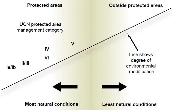 Strict Protection through classification within Management Categories ÄA wilderness is an area governed by natural processes.