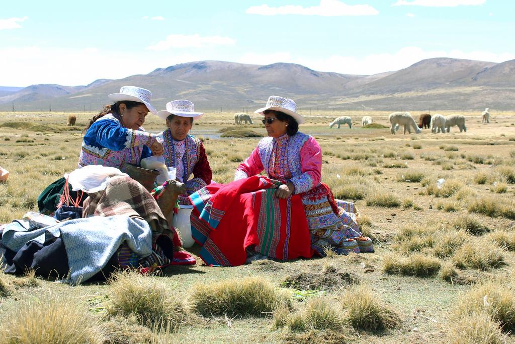 Strategic Agenda on Climate Change Adaptation in the Andes Objectives and measures: 1. Vulnerable groups and communities 2. Agriculture 3. Water resources and Hydrology 4.