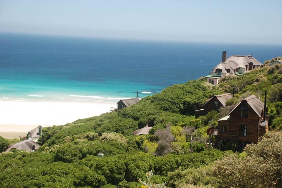 CONFERENCE WITH A CONSCIENCE Nestled deep in the Noordhoek Milkwood forest at the foot of Cape Town's Chapman s Peak Drive is Monkey Valley Resort.