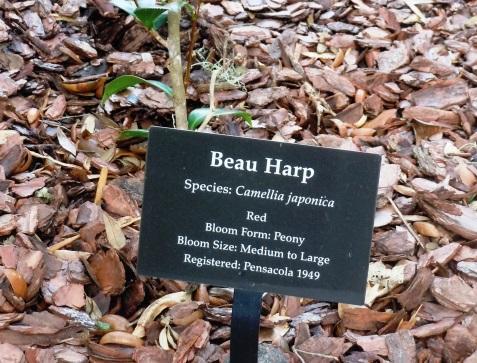 Buying Opportunities 1. High quality 4x6 Botanical Garden signs just like the ones we have installed at the UWF Camellia Garden.