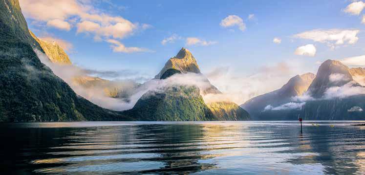 NEW ZEALAND EXPLORER $1999 PER PERSON TWIN SHARE MILFORD SOUND WELLINGTON AKAROA BAY OF ISLANDS THE OFFER See New Zealand in a whole new light on this breathtaking 11 day cruise package travelling