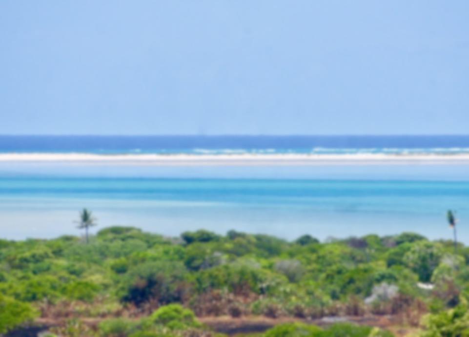 Where we are: Vilanculos Coastal Wildlife Sanctuary Mozambique The world is a book, and those who do not travel read only a