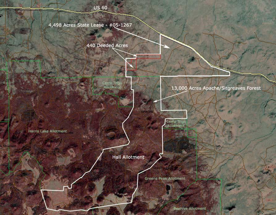 Satellite Image Source: Landsat Enhanced Thematic Mapper Plus, false